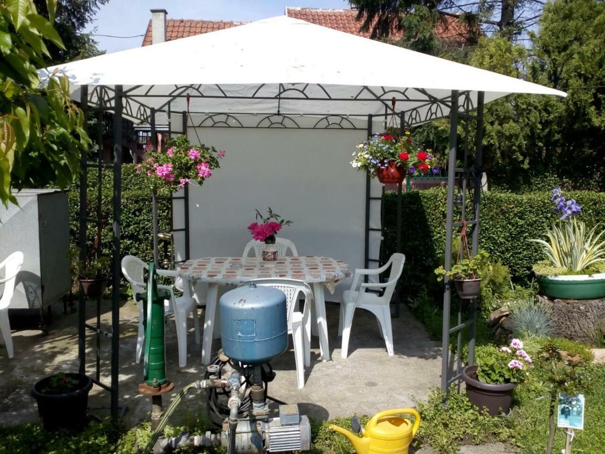 Apartment Ljupka Pančevo 外观 照片