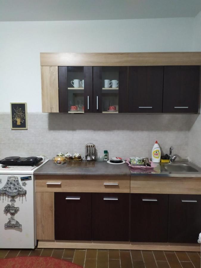 Apartment Ljupka Pančevo 外观 照片
